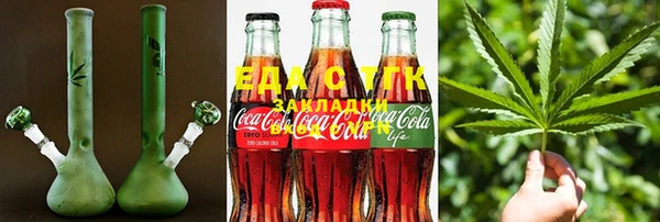 крисы Аркадак