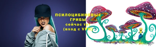 меф Арсеньев