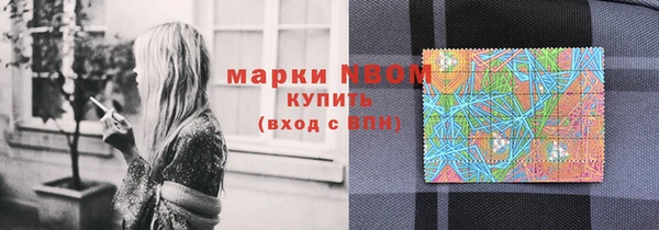 крисы Аркадак