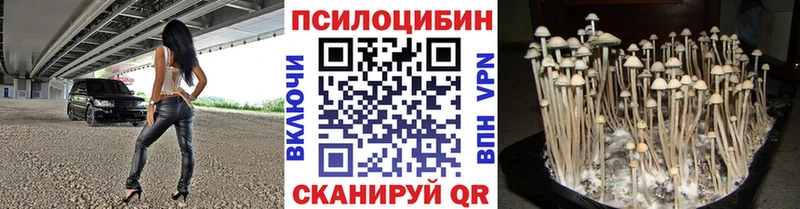купить наркоту  shop официальный сайт  Галлюциногенные грибы Cubensis  Дыгулыбгей 